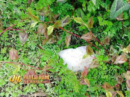 天降百斤白色異物