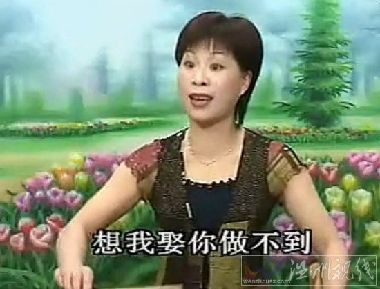 狄楊案第五集 楊文廣朱茶關(guān)落難