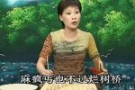 瑞安鼓詞《狄楊案》第6集 楊文廣因禍得福