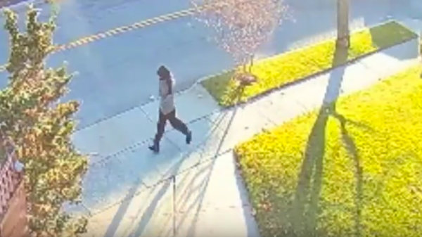 女孩紐約慘遭割臉