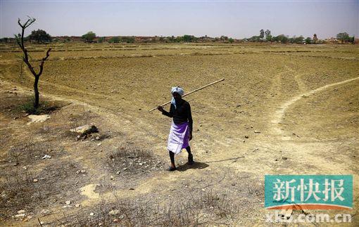 印度高溫創(chuàng)紀(jì)錄多地嚴(yán)重干旱