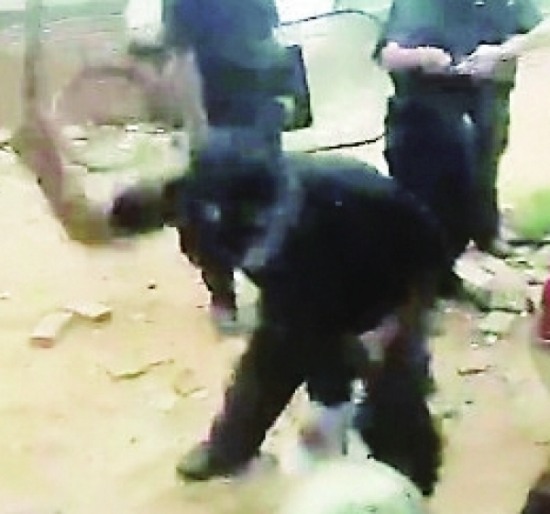 海口強(qiáng)拆暴力執(zhí)法