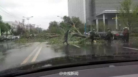 大風(fēng)襲擊遼寧