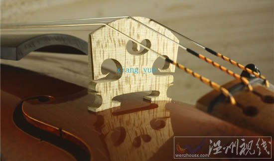 提琴制作比賽開幕