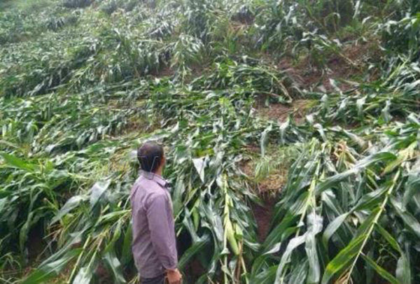 重慶雷雨大風(fēng)