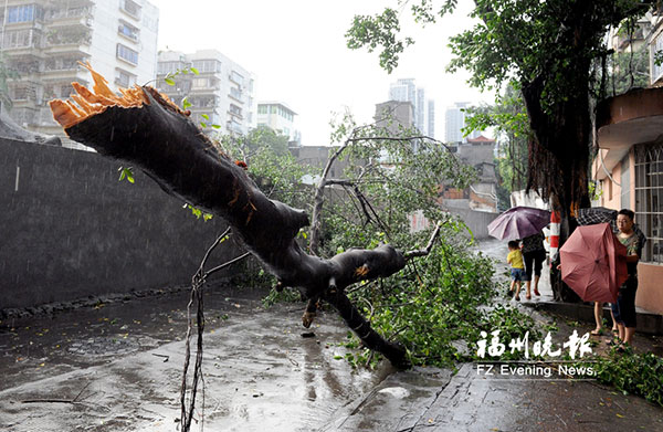 強對流天氣襲擊福建 瞬時風(fēng)力堪比臺風(fēng)