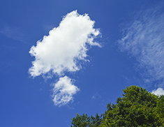 尼伯特臺(tái)風(fēng)來之前溫州藍(lán)天白云非常漂亮