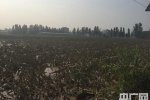 邢臺洪澇災(zāi)害最新消息