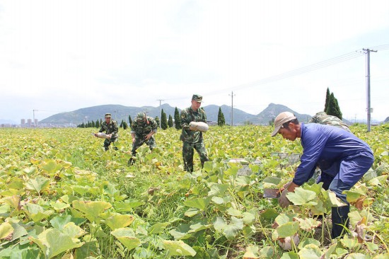 臺風尼伯特影響浙江