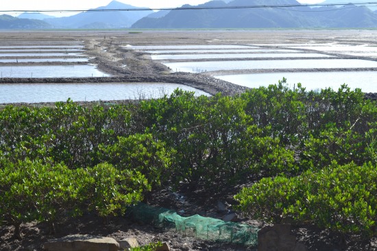 溫州醫科大學暑期社會實踐