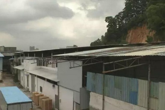 廣東番禺山體坍塌