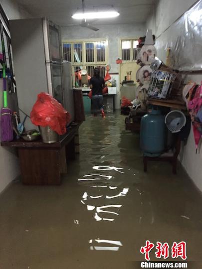 蒼南臺風鲇魚造成34萬人受災