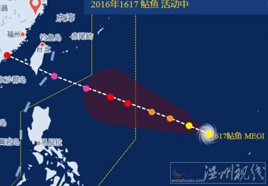 廈門臺(tái)風(fēng)鲇魚
