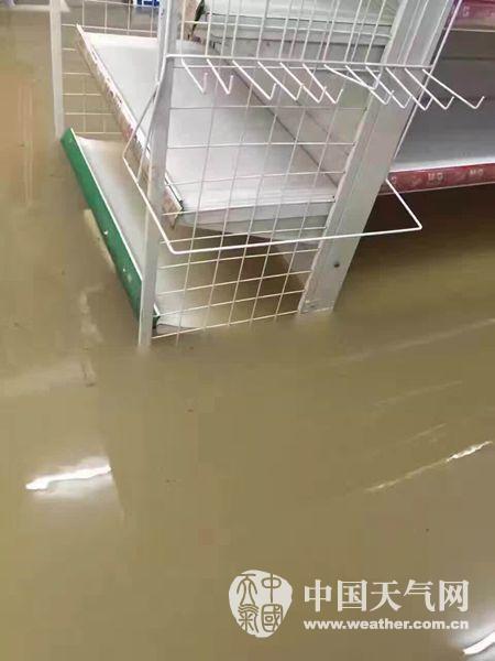 臺風鲇魚影響平陽水頭暴雨內澇變水城