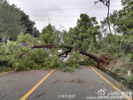 深圳臺風(fēng)海馬