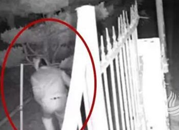 內褲套頭搶前女友