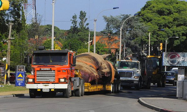 貨車(chē)運(yùn)載巨型怪物