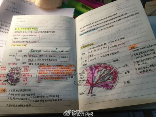 美女繪本筆記走紅