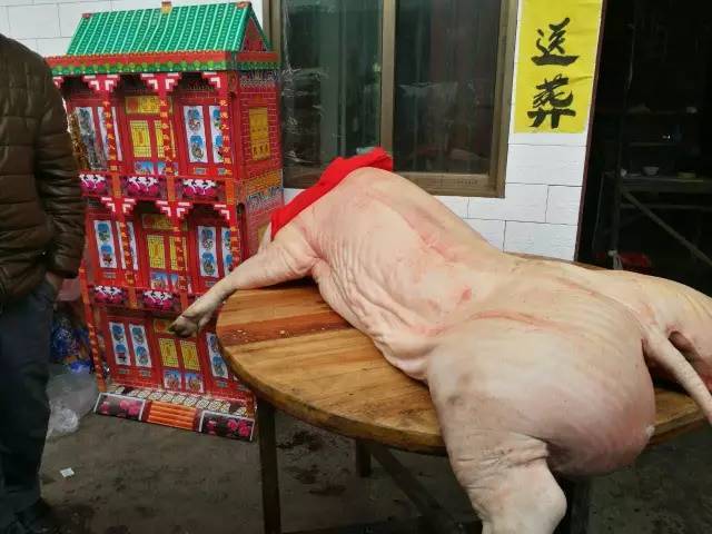 老人開棺材板復活