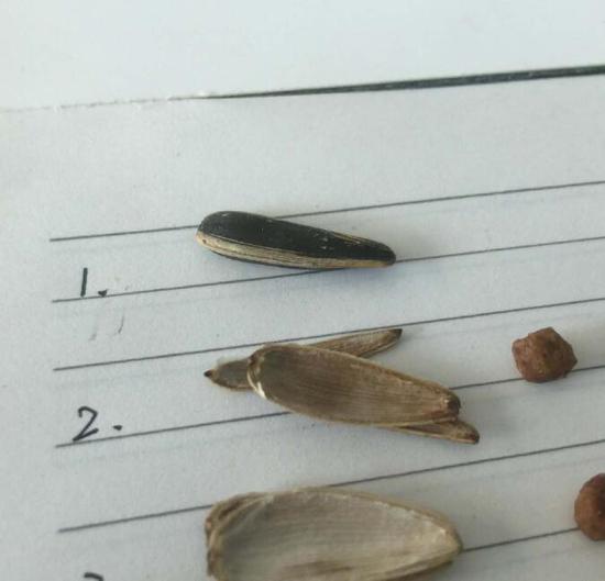 曬幸福遭室友整蠱