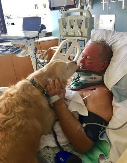 狗為摔癱男子取暖