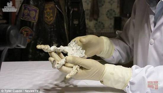 秘魯發(fā)現(xiàn)神秘大爪