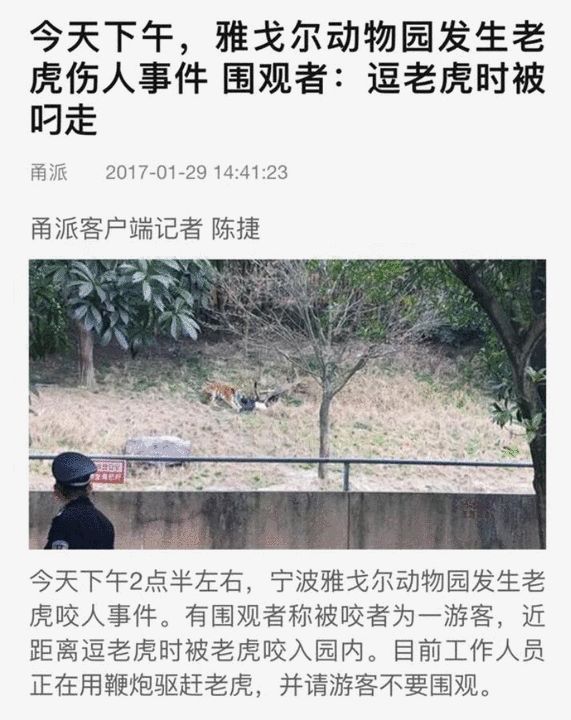 寧波老虎咬人事件