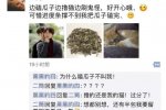 曬幸福遭室友整蠱 一個很無聊的室友