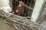夫妻將老母關(guān)豬圈 警方介入調(diào)查