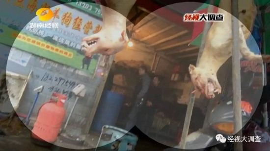 湖南查獲毒狗肉
