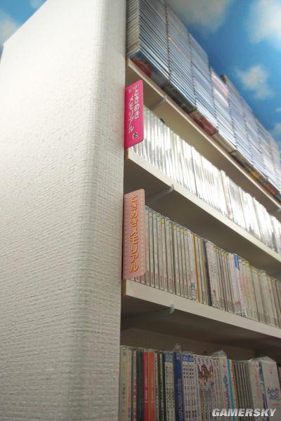 最強(qiáng)宅男建房子收藏游戲