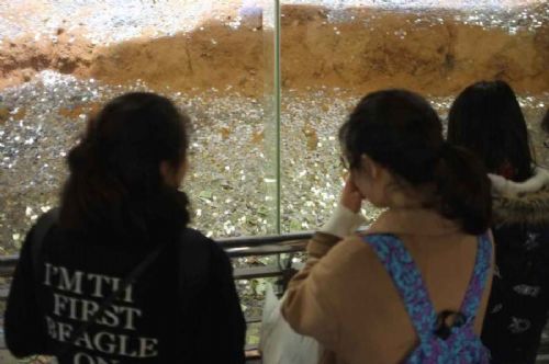 雷峰塔變金銀島