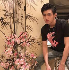 陳凱歌豪宅曝光