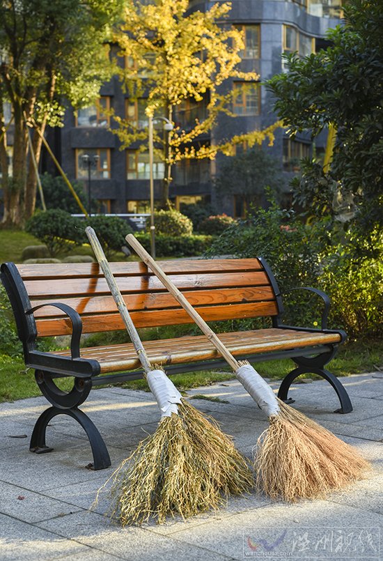 溫州永嘉掃帚廠