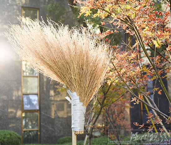 溫州永嘉掃帚廠