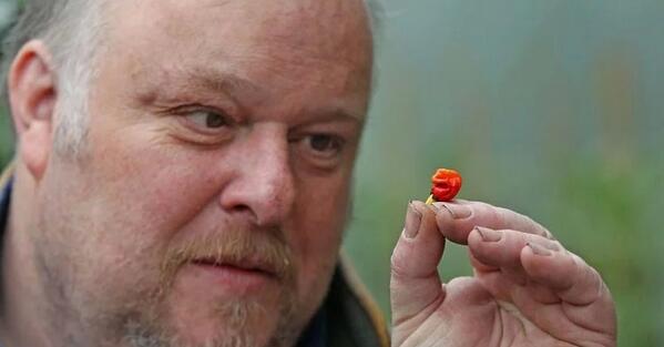 最辣辣椒1顆致命