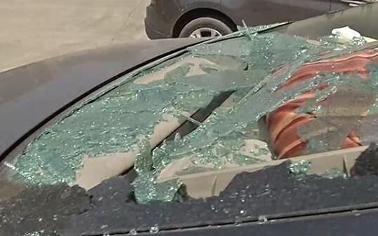 甲魚跳下26樓砸車