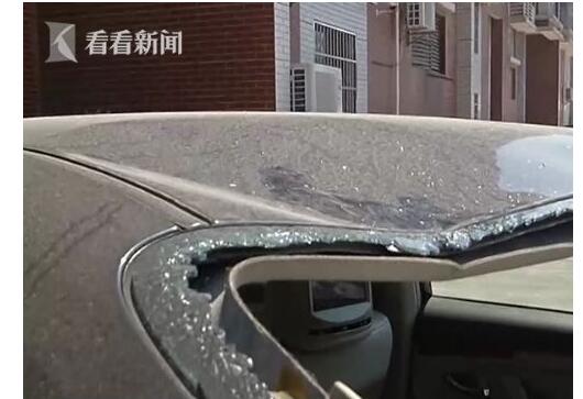 甲魚跳下26樓砸車