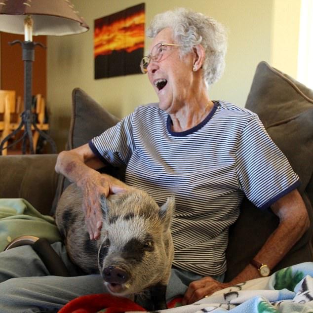 老人放棄治療旅行