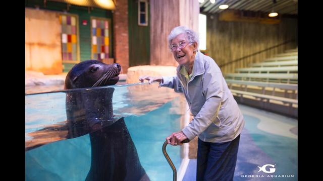 老人放棄治療旅行