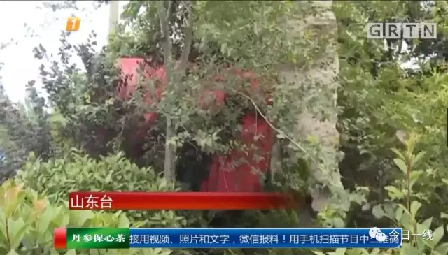 司機(jī)頭朝下盲開