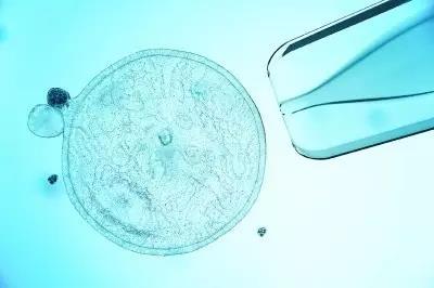 美試驗(yàn)起死回生