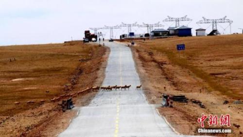 可可西里申遺成功