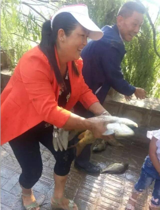 車側翻魚兒遭哄搶