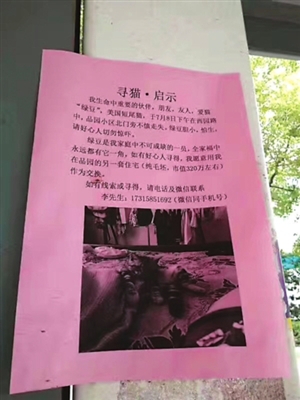 男子用房子尋貓