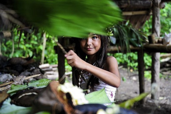 小島美女貝殼遮羞