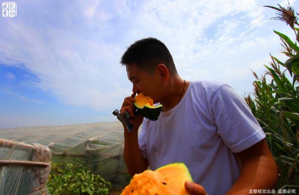 土豪金西瓜賺60萬