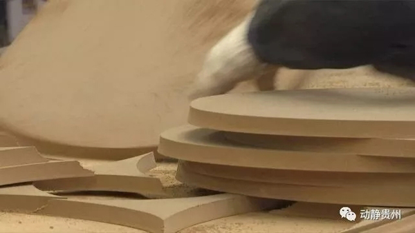 歐美搶中國馬桶蓋