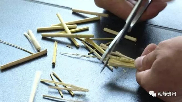 歐美搶中國馬桶蓋