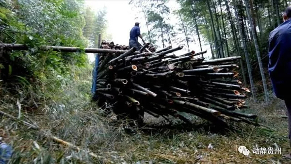 歐美搶中國馬桶蓋